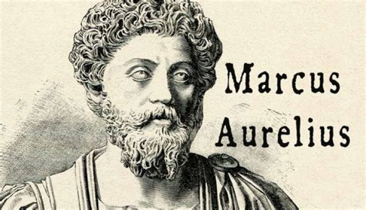 5 quick facts about Marcus Leithold