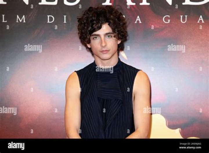 Actor Timothee Chalamet attends the Entertainment Weekly Screen Actors Guild Awards pre-party at Chateau Marmont on January 26, 2013 in Los Angeles, California.