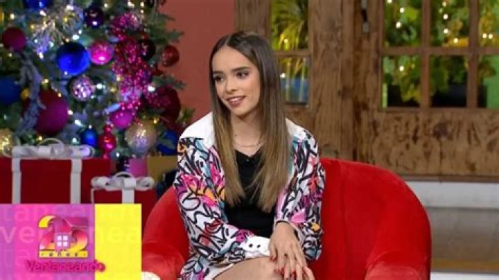 alana lliteras net worth alana lliteras net worth