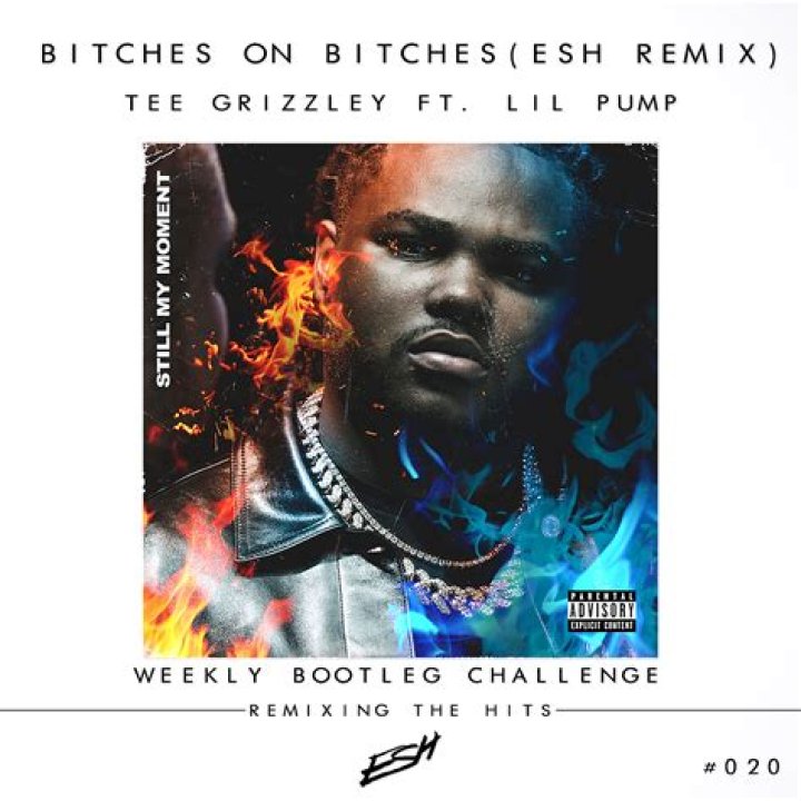 Bitches On Bitches