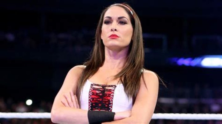 Brie Bella's Net Worth and Financial Success Brie Bella's Net Worth and Financial Success