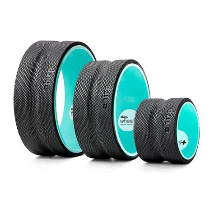Chirp Wheel success Chirp Wheel success