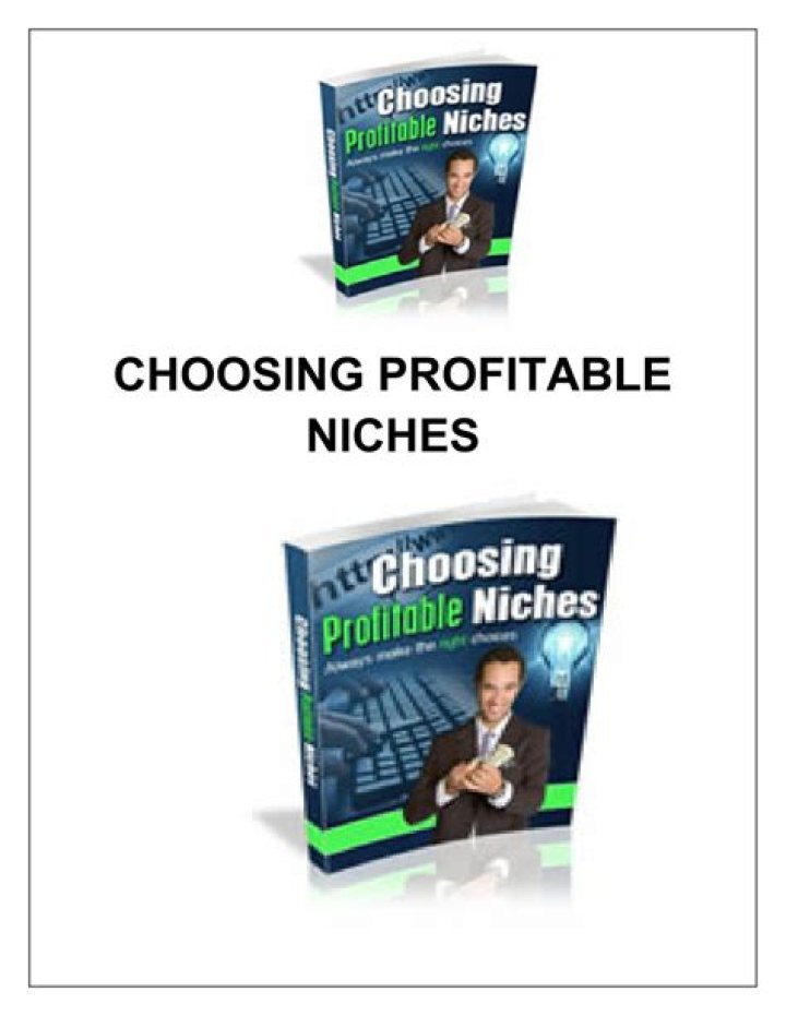 choosing a profitable niche choosing a profitable niche