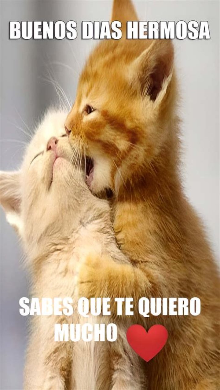 Cute Buenos Dias memes