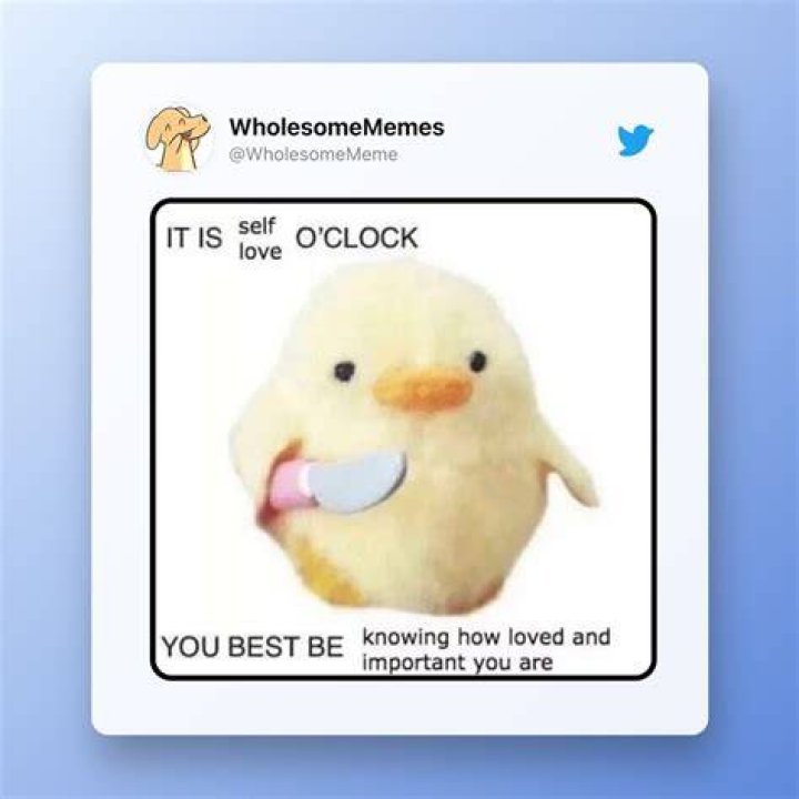 cute meme collected to share