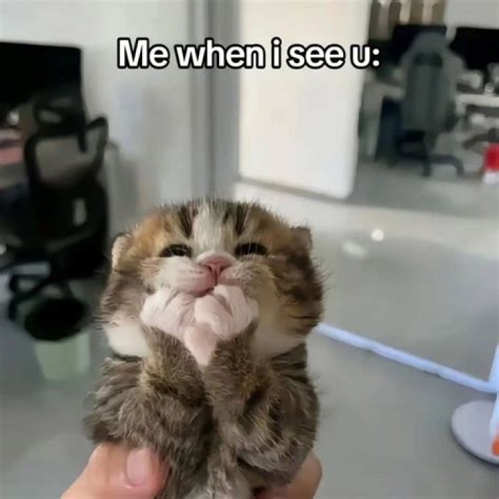 Cute meme to melt your heart