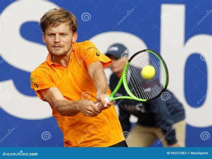 David Goffin