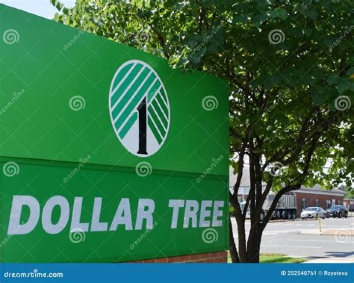 Dollar Tree Financing and Support Dollar Tree Financing and Support