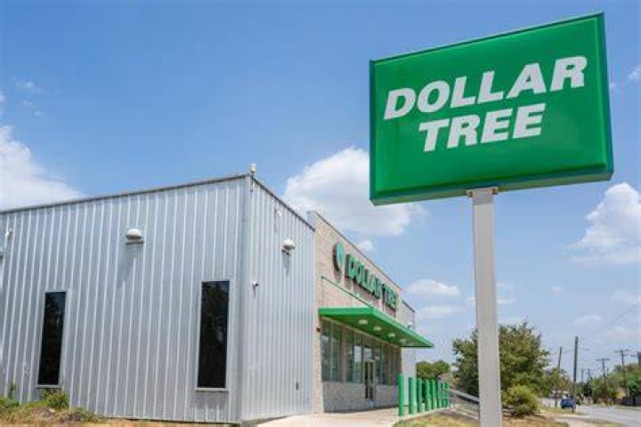 dollar tree subsidiaries