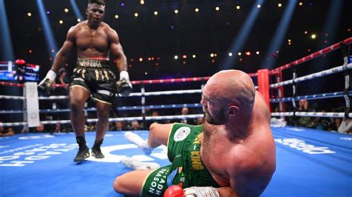 francis ngannou boxing