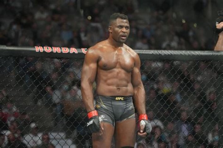 francis ngannou ufc