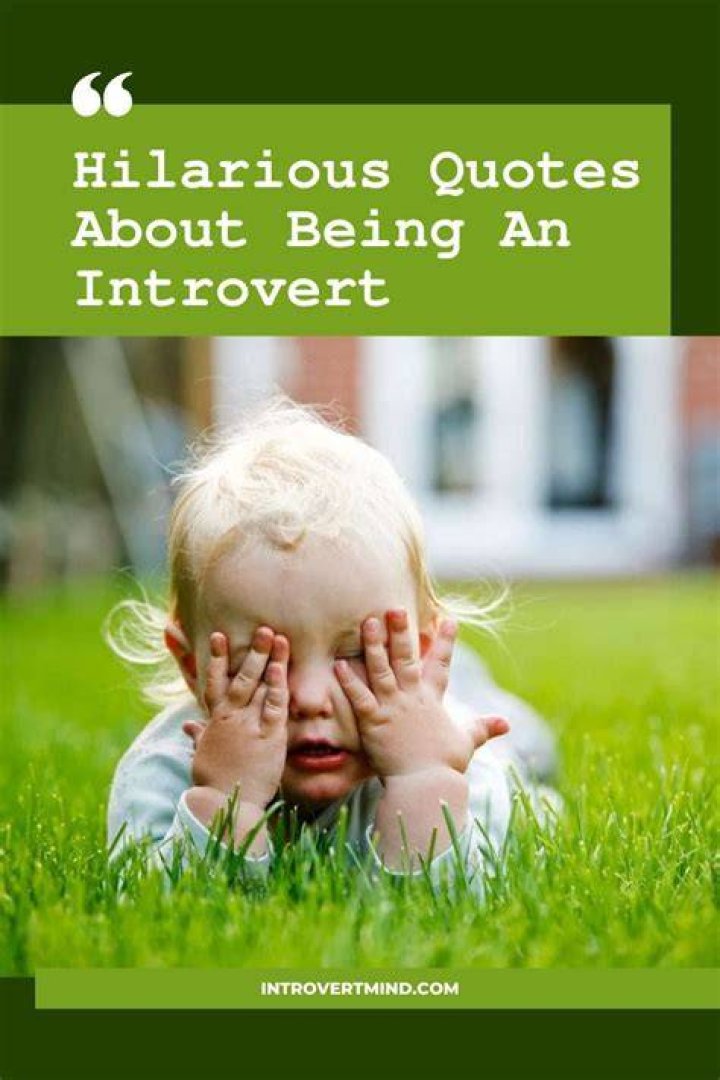Funny introvert quotes Funny introvert quotes