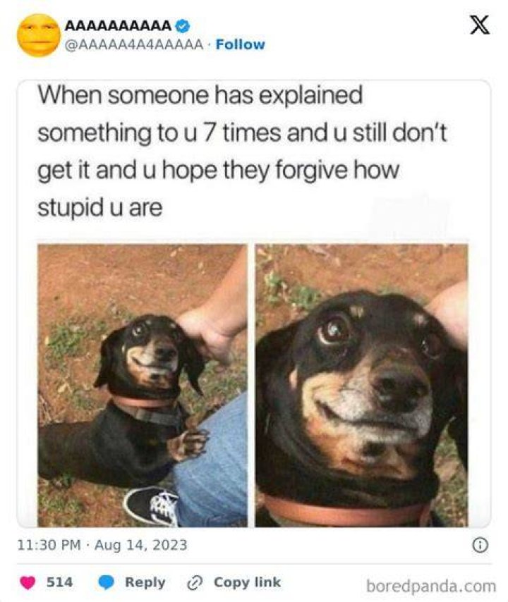 Funny meme collected