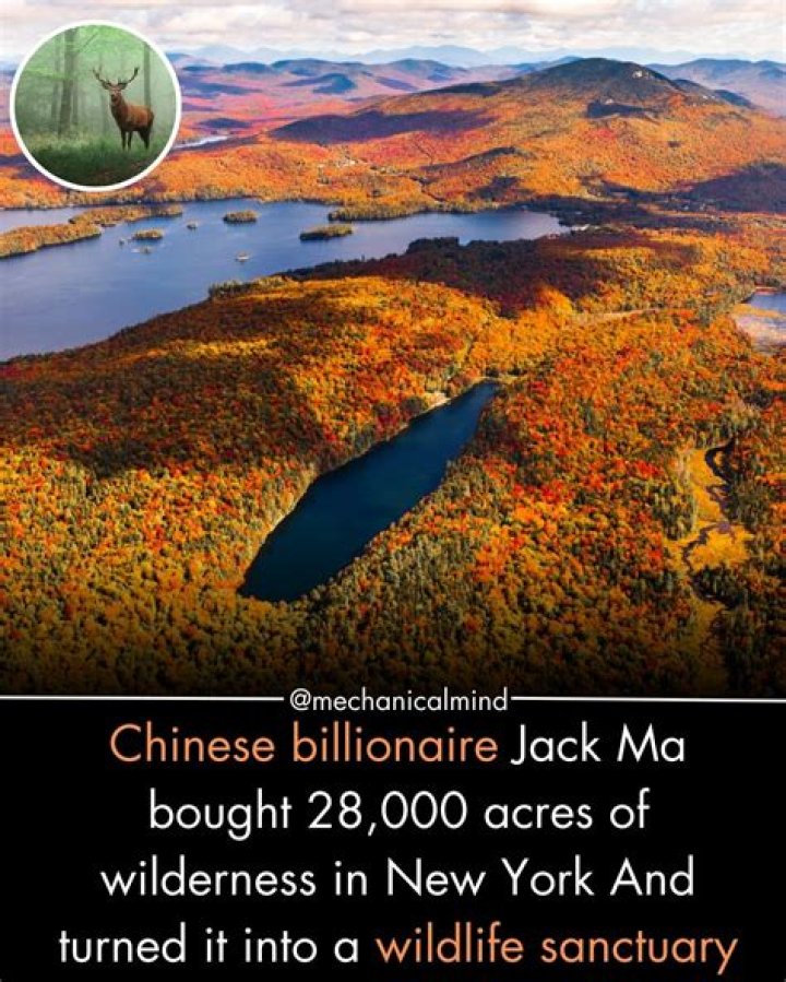 Jack Lambert wildlife conservation Jack Lambert wildlife conservation