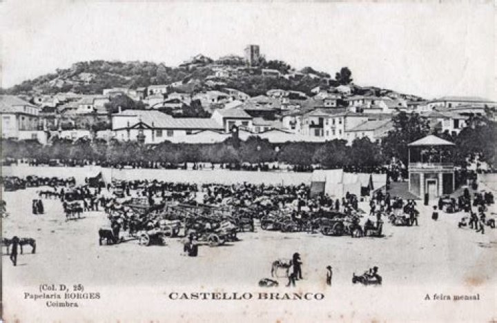 Jo&atilde;o Castel-Branco Goul&atilde;o