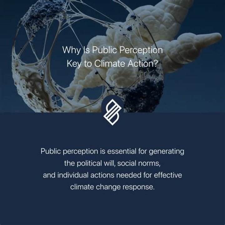 john arnold public perception john arnold public perception