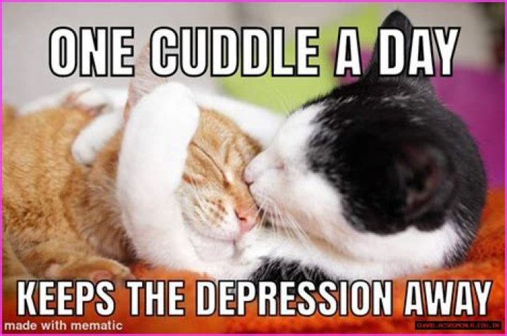 Memes for cuddle to share