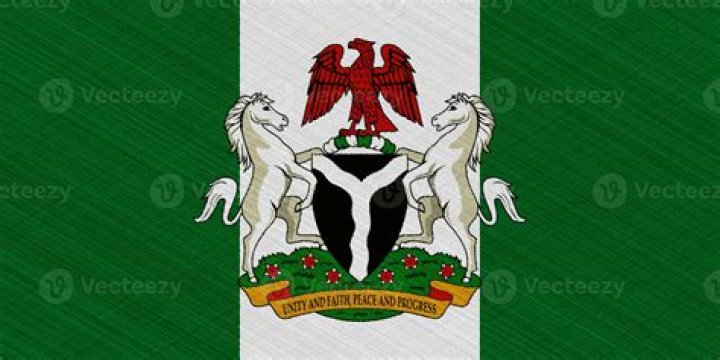 Nigerian flag