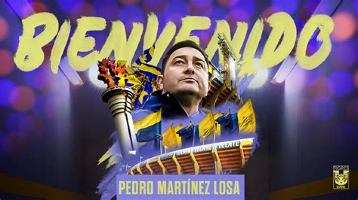Pedro Mart&iacute;nez Losa