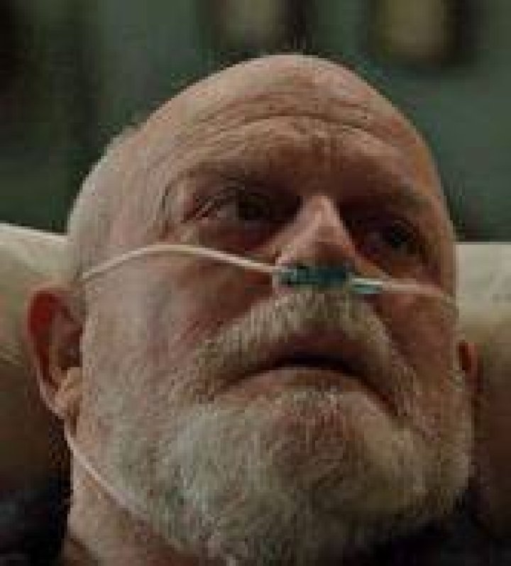 ron raines dom the blacklist