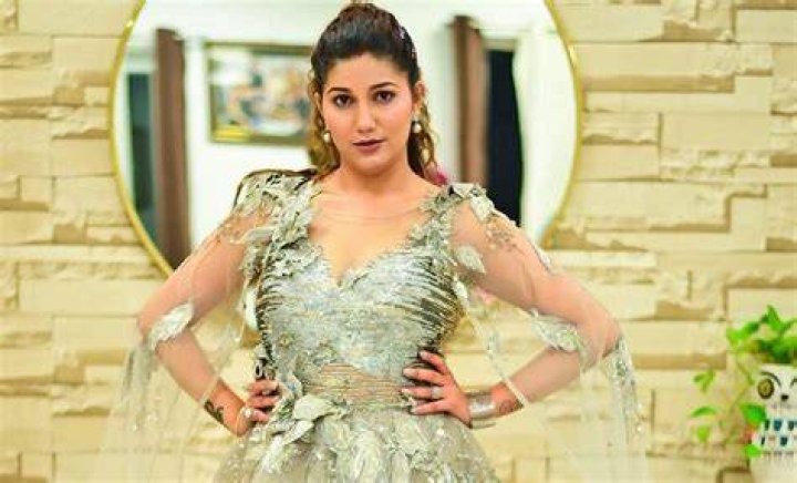 Sapna Choudhary 2