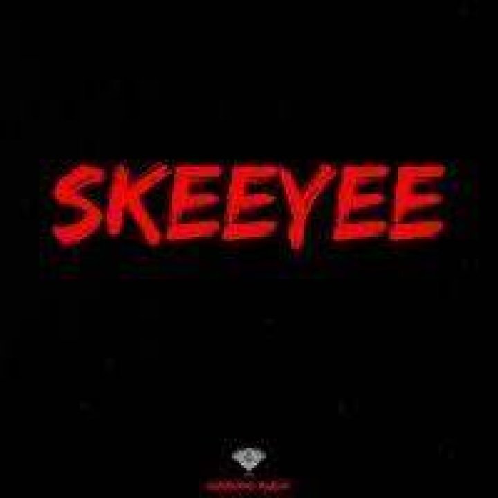 Skeeyee Music Video