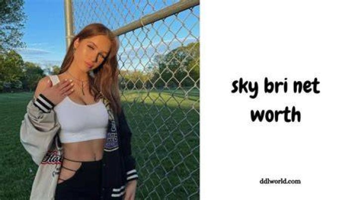 sky bri financial success