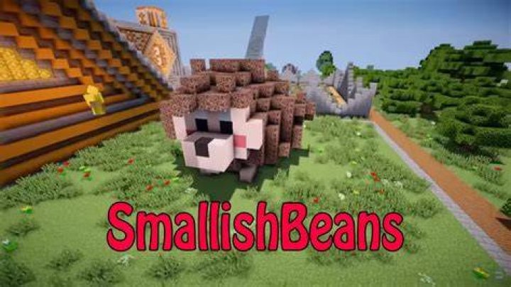 Smallishbeans Phone Number