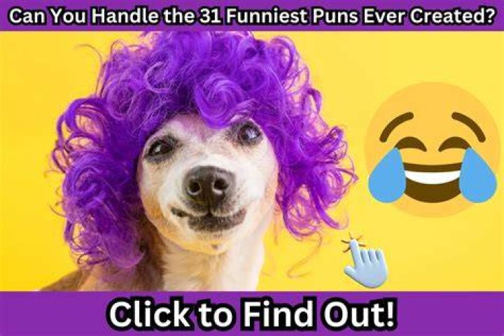 stupid puns