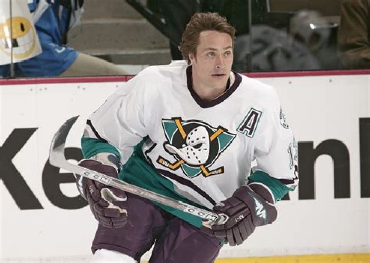 Teemu Selanne's business ventures and investments Teemu Selanne's business ventures and investments