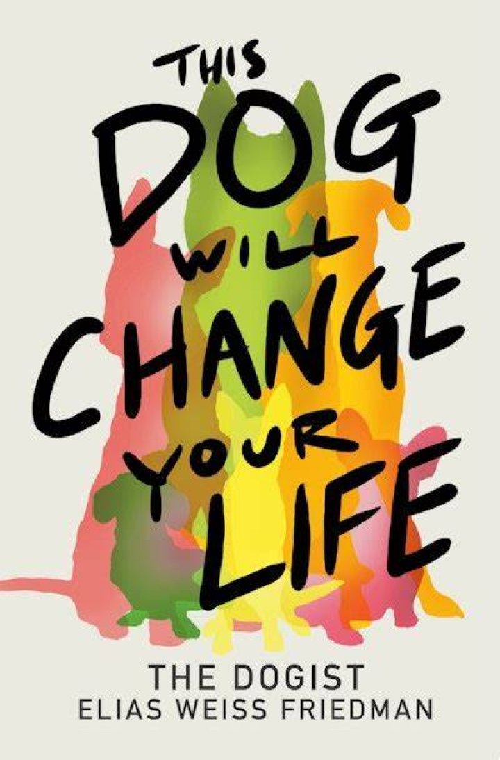 This dog will be subordinated only to a spirit-strong person who will be the leader