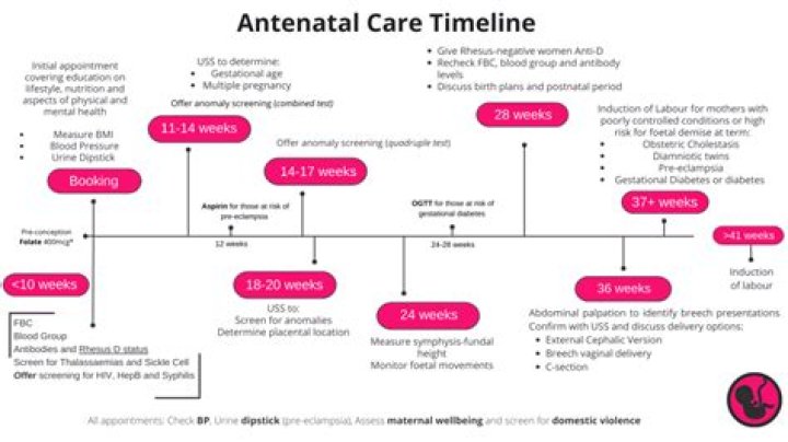 When to start antenatal visits during pregnancy?